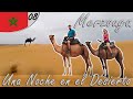 Dunas de Merzouga, una Noche en el Desierto | Marruecos Van Trip 08 | LowCosTravellers