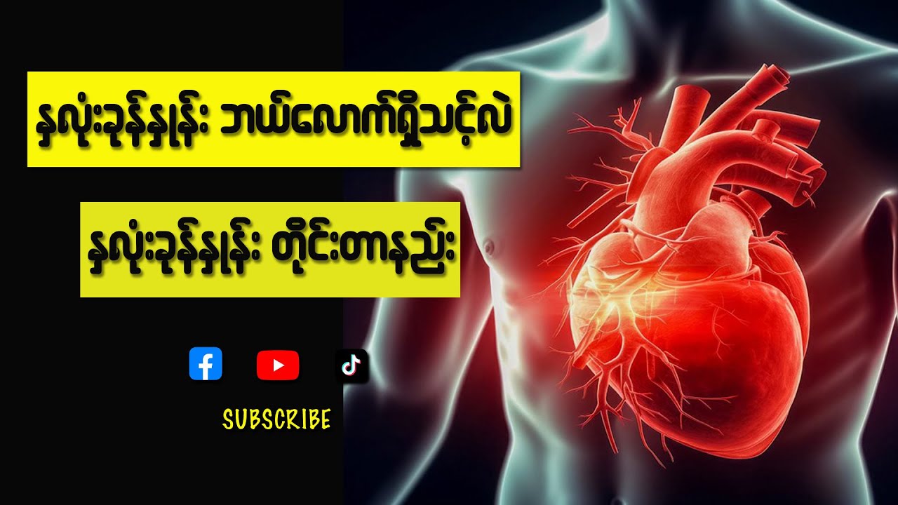 လူတယောက်မှာ နှလုံးခုန်နှုန်း ဘယ်လောက်ရှိသင့်လဲ | နှလုံးခုန်နှုန်းတိုင်တာနည်း အသေးစိပ်