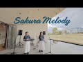 voix「Sakura Melody」