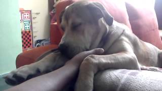Mama de Junior (relax)