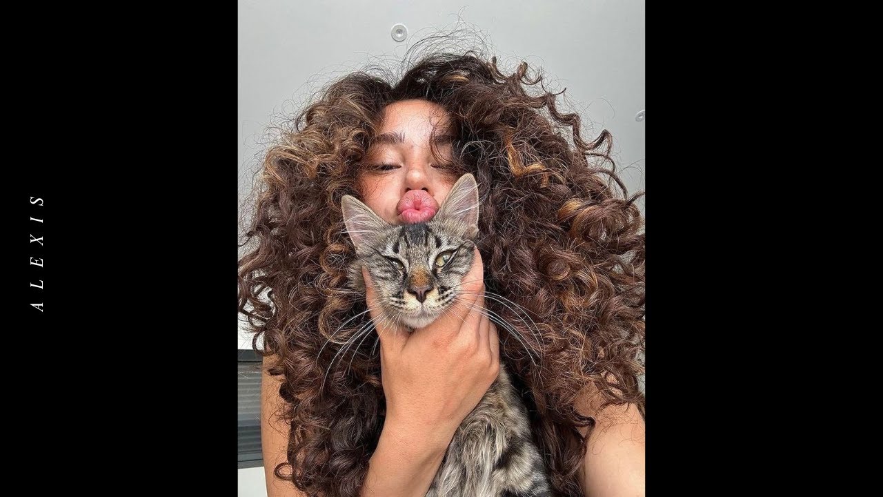 (FREE) R&B Acoustic Guitar Type Beat | 