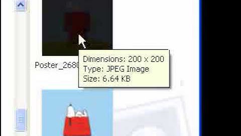 Vixen Step 05    Selecting a picture for adjustable preview