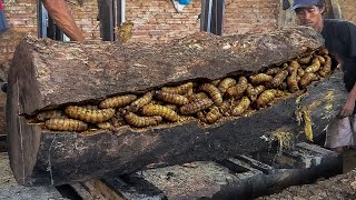 How Giant Trembesi Logs Are Cut in an Extreme Sawmill Without Safety Gear