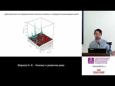 Видео: Какво кара азиатския храст комар Aedes Japonicus Japonicus да се чувства комфортно в Германия? Размит подход за моделиране