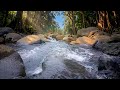 🌿 Best Lofi Chill Nature Beats Cozy River Ambience for Study, Sleep and Relaxation #relaxing #nature