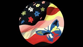 The Avalanches - If I Was A Folkstar