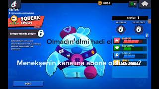 Squeak In Seslerinin Türkçe Anlamı.
