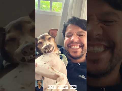 The end 😂 #pet #cat #dog #cute #animals #shortsfeed #ytshorts#viralshorts