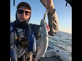 Esky Full EP 32