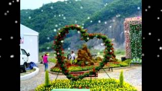 Unguapalah Arti Cinta