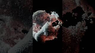 Jargon - Gonna Lose Myself Resimi