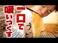 【長木屋】鴻巣名物川幅うどんに食らいつく！！もちもち食感がクセになるぅ〜！【埼玉うどん子TV第65回】