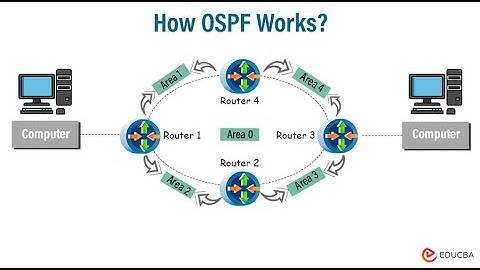 Free CCNA In Hindi | Chapter19 - Lab OSPF (Open Shortest Path First) Part-2