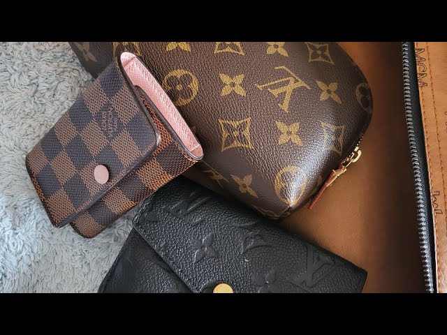 5 Most Used Louis Vuitton SLGs - Smiles and Pearls