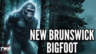 The New Brunswick Bigfoot: 8 Chilling Canadian Encounters Explained THE WEEKLY STRANGE Episode 145