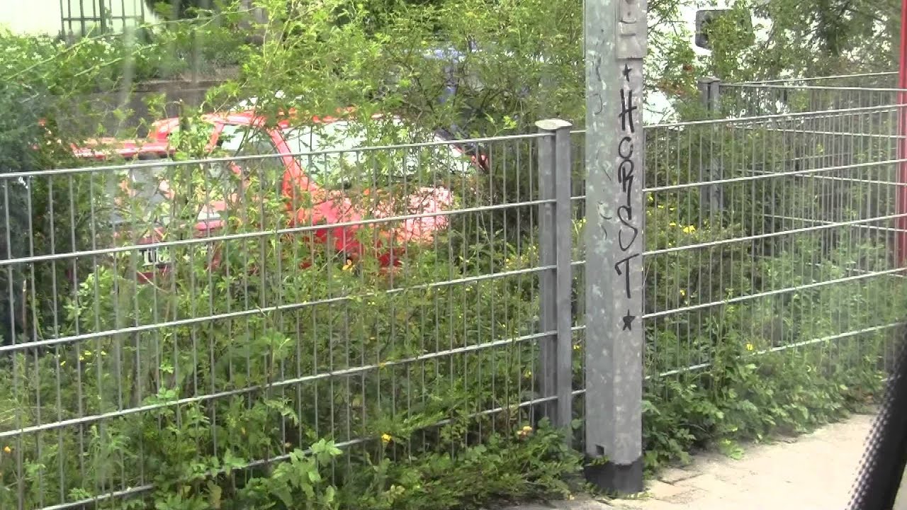 Mitfahrt in einem Regio-Shuttle RS1 (Br 650) von Gültstein bis Tübingen Hbf (Ammertalbahn)