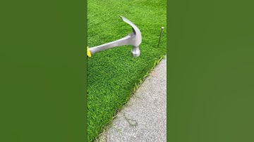 How to  fix artificial grass to the ground？#landscape #lawncare #artificialturf #fixartificialgrass