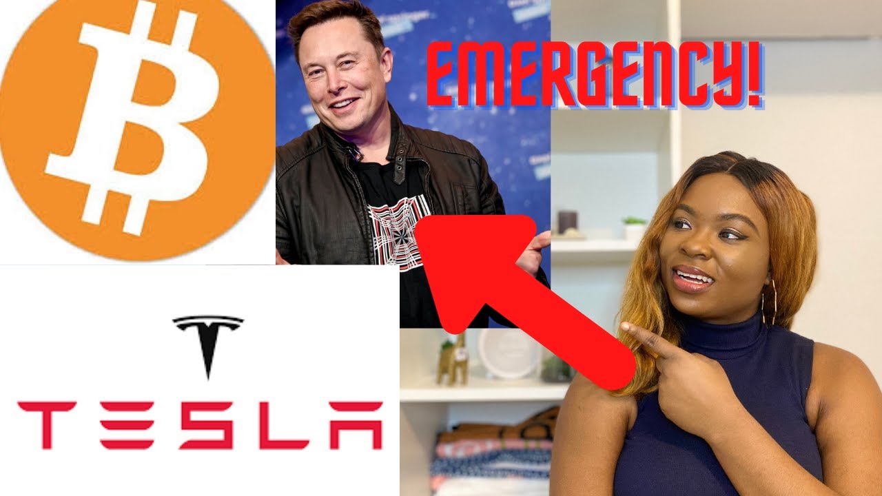 Bitcoin blows up as Elon musk's Tesla buys $1,500,000,000 worth of Bitcoin | INVEST IN BTC NOW?