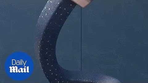 A range of 3D animations that are very satisfying to watch