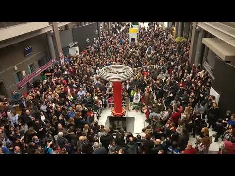 NOESIS Tesla