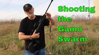 Top 4 gamo swarm fusion 10x gen2 review