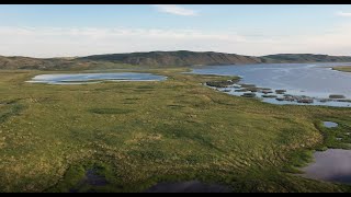 Wetlands of Nebraska Guide