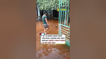 Bị nước ngập tràn vào nhà chàng trai ngỡ ngàng trước cảnh tượng cá bơi đầy sân #Y1News