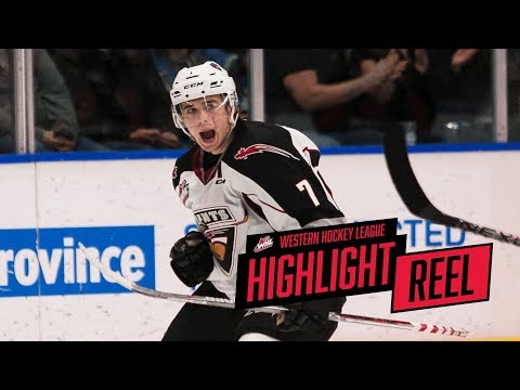 2017-18 HIGHLIGHT REEL | Ty Ronning