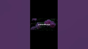 وَقَالُوا الْحَمْدُ لِلَّهِ الَّذِي أَذْهَبَ عَنَّا الْحَزَنَ سورة فاطر - الشيخ المنشاوي