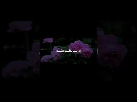 و ق ال وا ال ح م د ل ل ه ال ذ ي أ ذ ه ب ع ن ا ال ح ز ن سورة فاطر الشيخ المنشاوي