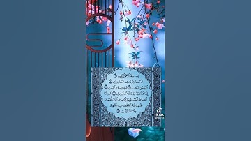 الحمد الله رب العالمين ⚘💙🌿سورة الفاتحة حالات واتس اب دينية قصيرة Quran status 🌻 ♥