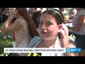 Ice cream sundae building competition in Wayne County