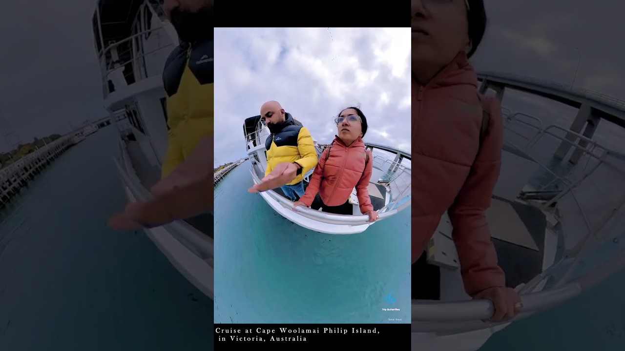 Cruise at Cape Woolamai Philip Island  #shortsvideo  #australia   #insta360 #instagram