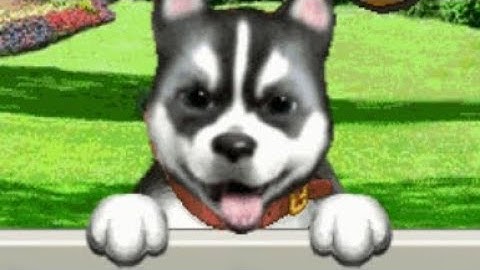 【JAVA GAMES】开心狗狗 - J2me Loader