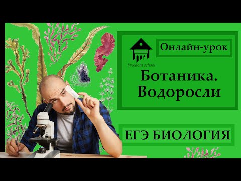 Введение в ботанику - ВОДОРОСЛИ для ЕГЭ |ЕГЭ БИОЛОГИЯ|Freedom|