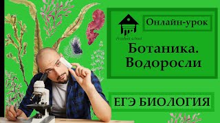 Введение в ботанику - ВОДОРОСЛИ для ЕГЭ |ЕГЭ БИОЛОГИЯ|Freedom|