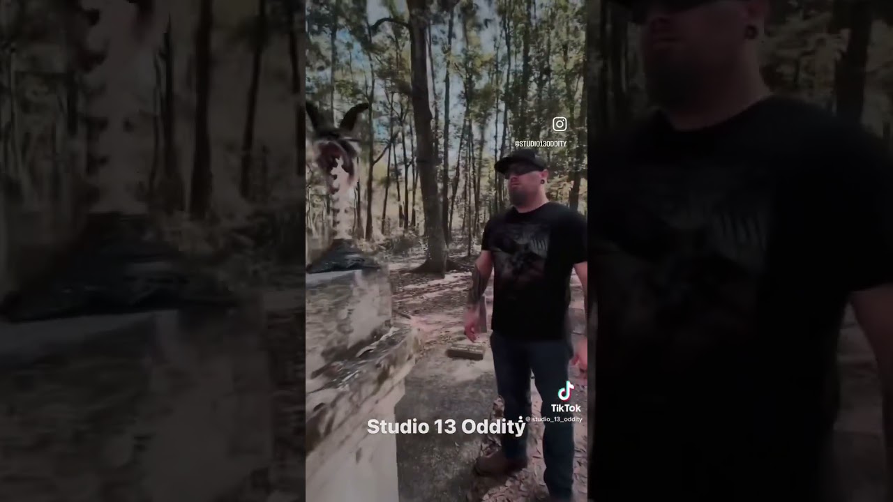 Collaboration project with Dead Head Art