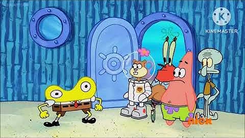 Up to faster 65 Parison (Without Logo)