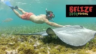 Scuba Diving & Snorkeling in Belize - 2014