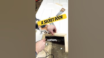 😺A Quick DIY Cat Door for FREE #diy #carpentry #fun