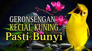 GERONSENGAN KECIAL KUNING TERAPI PALING JITU UNTUK MELATIH MENTAL