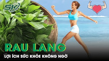 Rau Lang: Những Lợi Ích Không Ngờ Từ Món Ăn Dân Dã | SKĐS