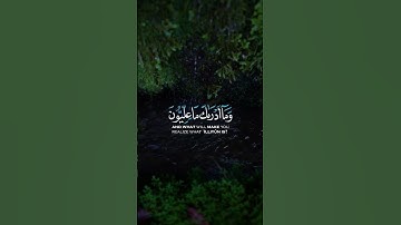 حالات واتس اب القران الكريم | شيخ عمير شميم