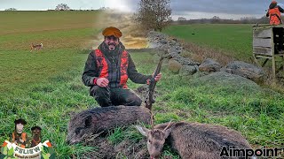 Je participe à la Chasse VIP d&#39;Aimpoint en Suède : superbe chasse en battue aux daims et sangliers!