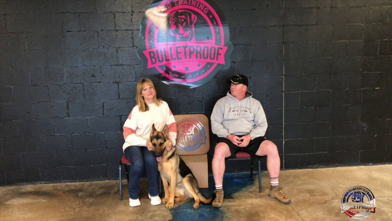 Finn's Owners Testimonial | German Shepherd | GSD puppy training crate schedule