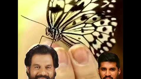 Pushpamaholsavam pookkalil malsaram പുഷ്പ മഹോത്സവം പൂക്കളിൽ മത്സരം (Dileep. v)
