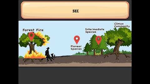 Science Game for Grades 6-8 | Changes in Ecosystems Over Time (MID)