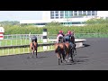 Obrien Horses coming out of quarentine and hitting track