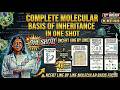 Complete molecular basis of inheritance in one shot 🔥| line by line ncert | RENEET 2026