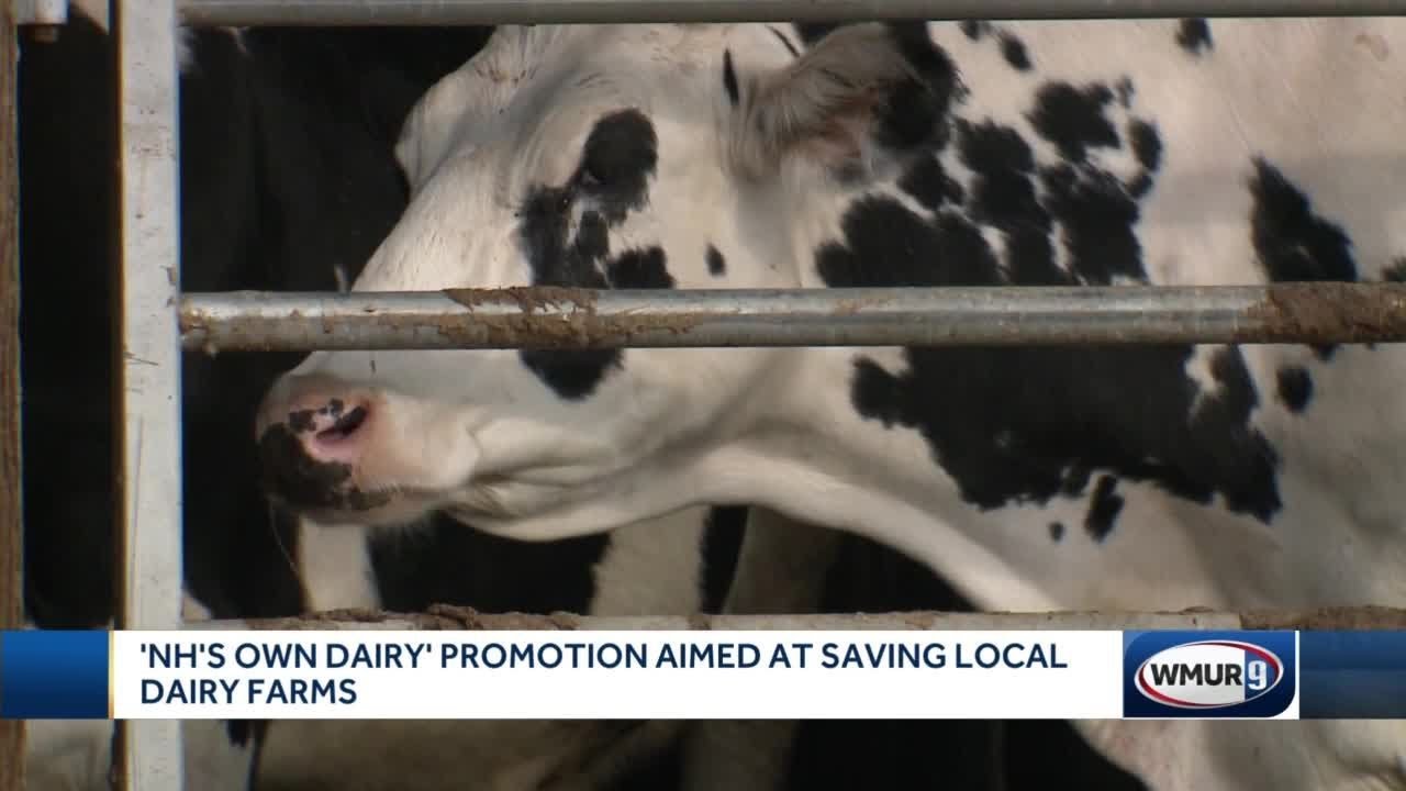 Promotion aimed at saving NH dairy farms YouTube